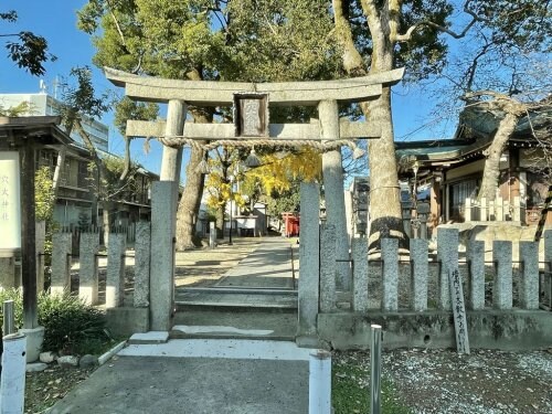 コラッジオ衣摺の物件内観写真