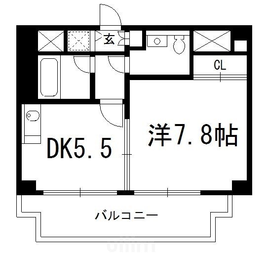 和泉ハイツの物件間取画像