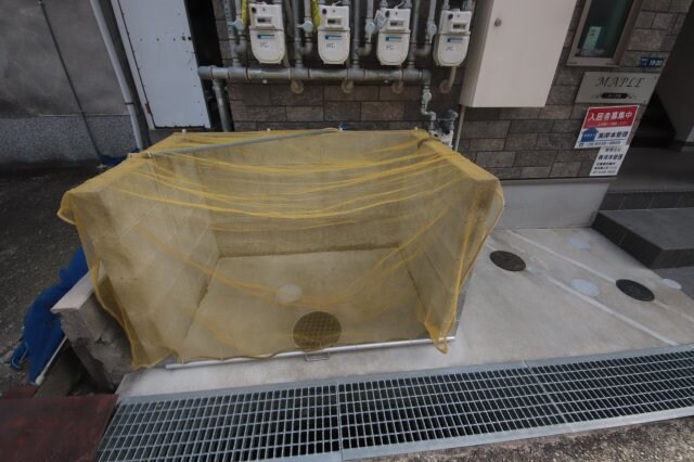 MAPLEの物件内観写真