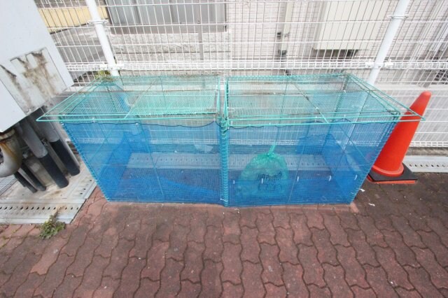 サンセリテ・Ⅲ・源の物件内観写真