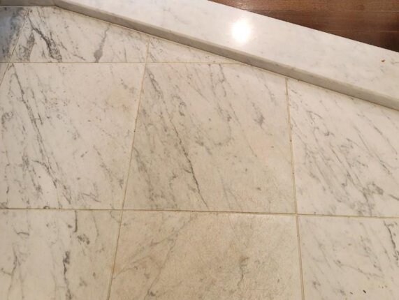 プロスペクト清澄庭園の物件内観写真