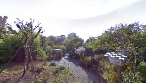 デュオステージ曳舟の物件内観写真