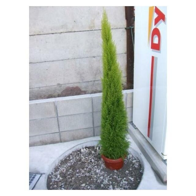 Peaceの物件内観写真