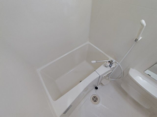 セラフィコート枚方の物件内観写真