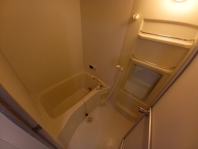 ヴェルデュール・ピノの物件内観写真