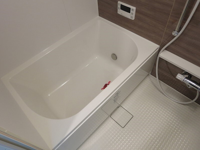 ラヴィータ泉の物件内観写真