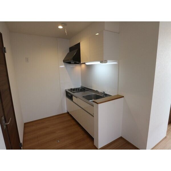 Grandtic Residence堀田の物件内観写真