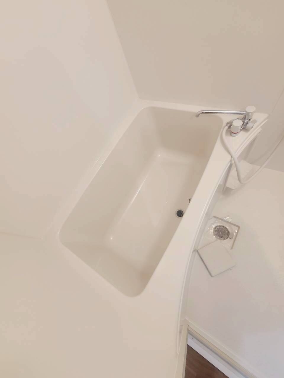 甲子園口駅 徒歩13分 3階の物件内観写真