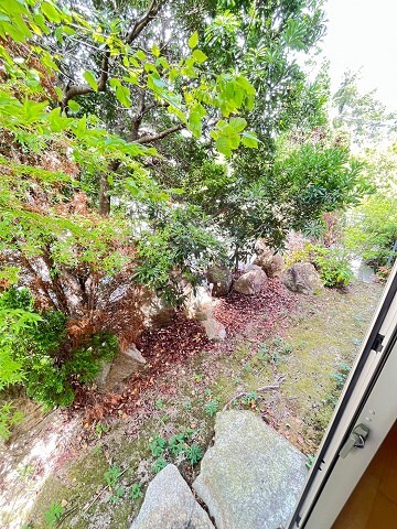 甲陽園駅 徒歩5分 1-2階の物件内観写真