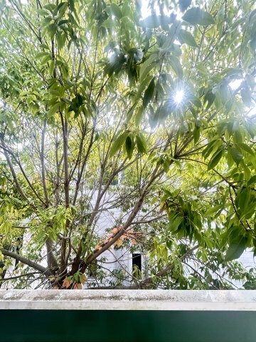 EVAHⅡの物件内観写真