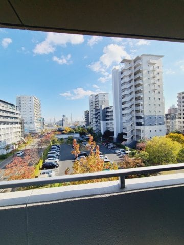 鳴尾・武庫川女子大前駅 徒歩14分 5階の物件内観写真