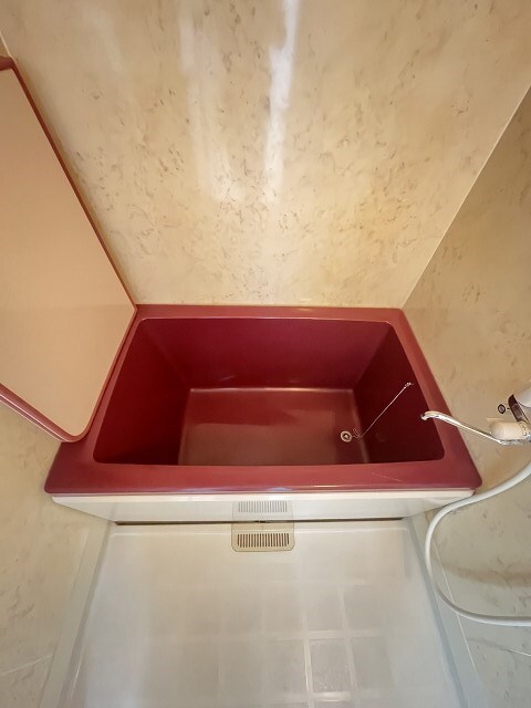 夙川駅 徒歩3分 4階の物件内観写真