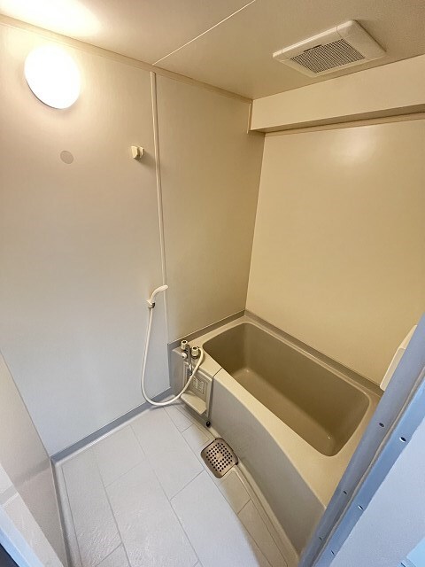 今津駅 徒歩5分 3階の物件内観写真