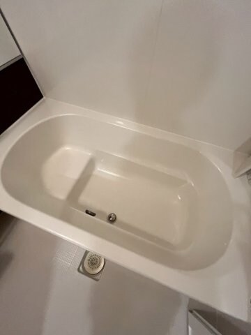 グラン アルベロの物件内観写真