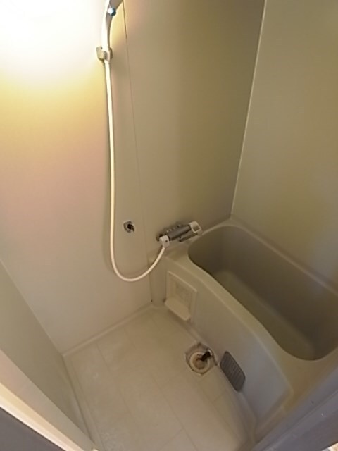 甲東園駅 徒歩15分 1階の物件内観写真