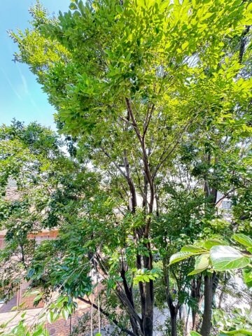 六甲ガーデンホームズの物件内観写真