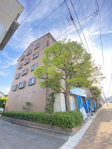 甲子園口駅 徒歩9分 4階の物件外観写真