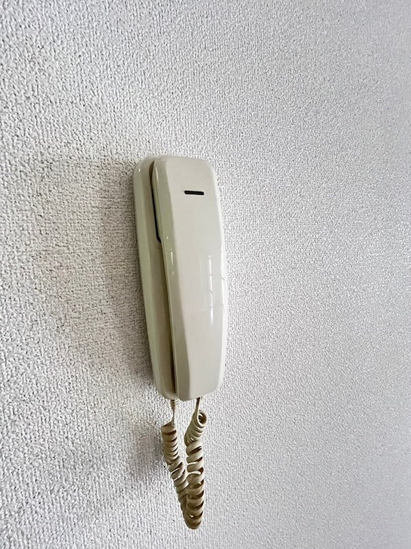 甲子園口駅 徒歩12分 2階の物件内観写真