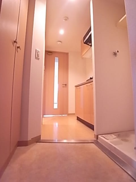 新開地駅 徒歩7分 3階の物件内観写真