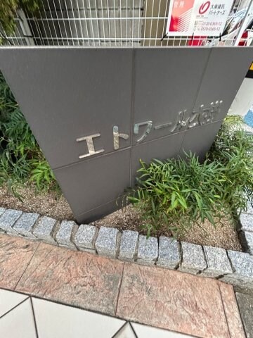 須磨海浜公園駅 徒歩3分 5階の物件内観写真