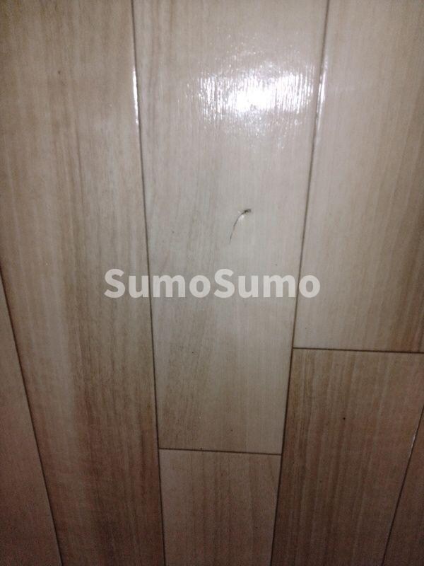 山手ハイツの物件内観写真