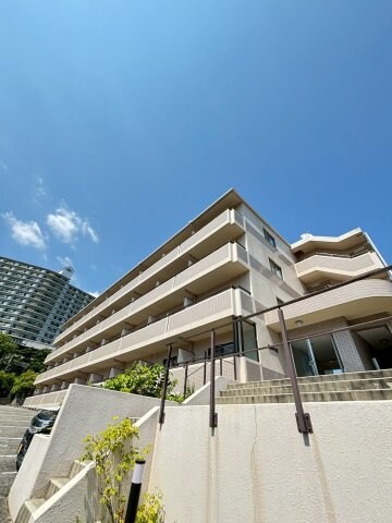 総合運動公園駅 徒歩14分 3階の物件内観写真