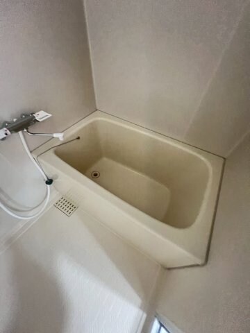 さくら夙川駅 徒歩5分 2階の物件内観写真