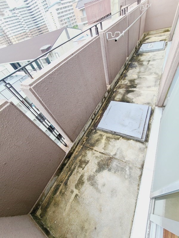 西宮北口駅 徒歩5分 5階の物件内観写真