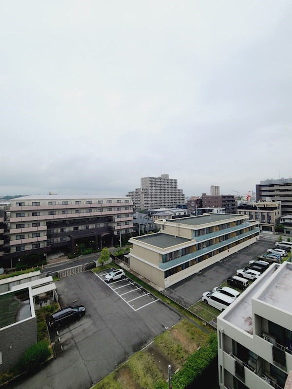 西宮北口駅 徒歩5分 5階の物件内観写真