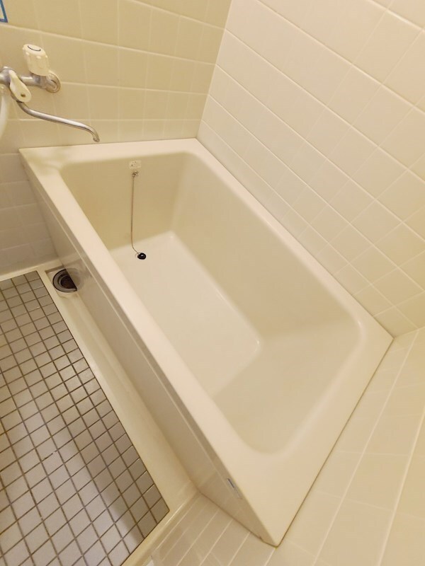 西宮北口駅 徒歩5分 5階の物件内観写真