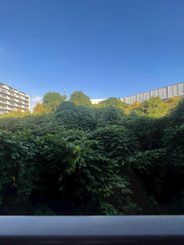 妙法寺駅 徒歩8分 3階の物件内観写真