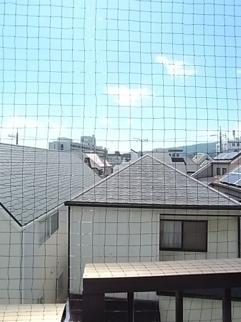 門戸厄神駅 徒歩10分 1階の物件内観写真