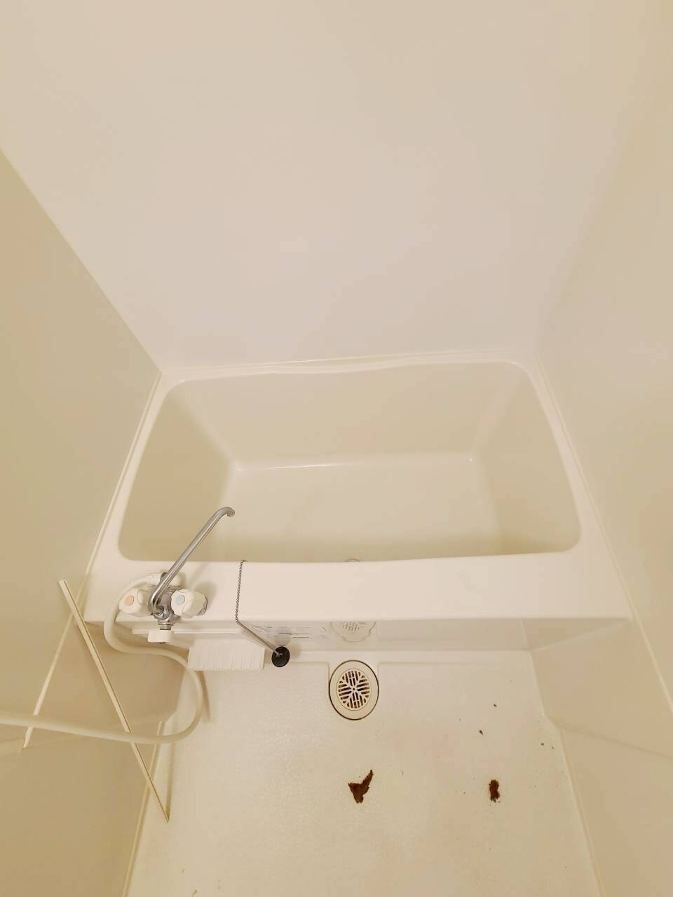 今津駅 徒歩4分 1階の物件内観写真