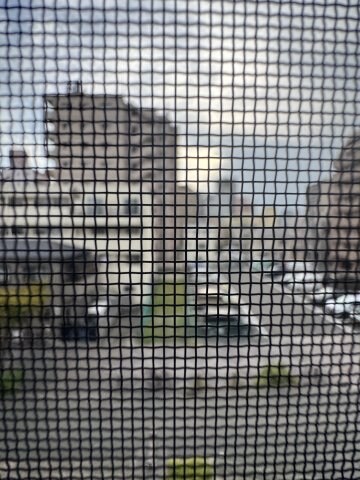 新長田駅 徒歩3分 3階の物件内観写真