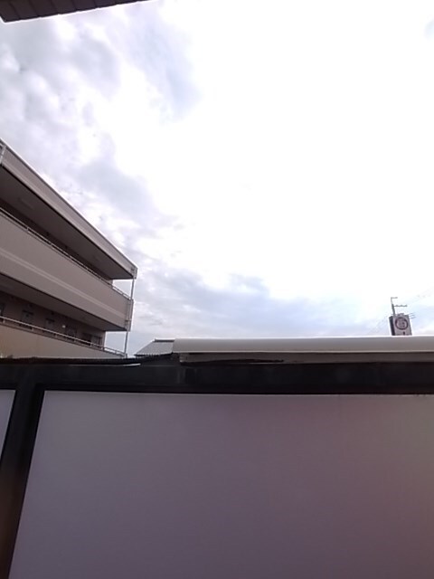 甲東園駅 徒歩15分 3階の物件内観写真