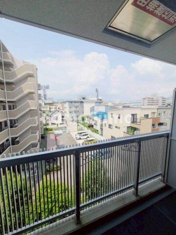 甲子園駅 徒歩5分 4階の物件内観写真