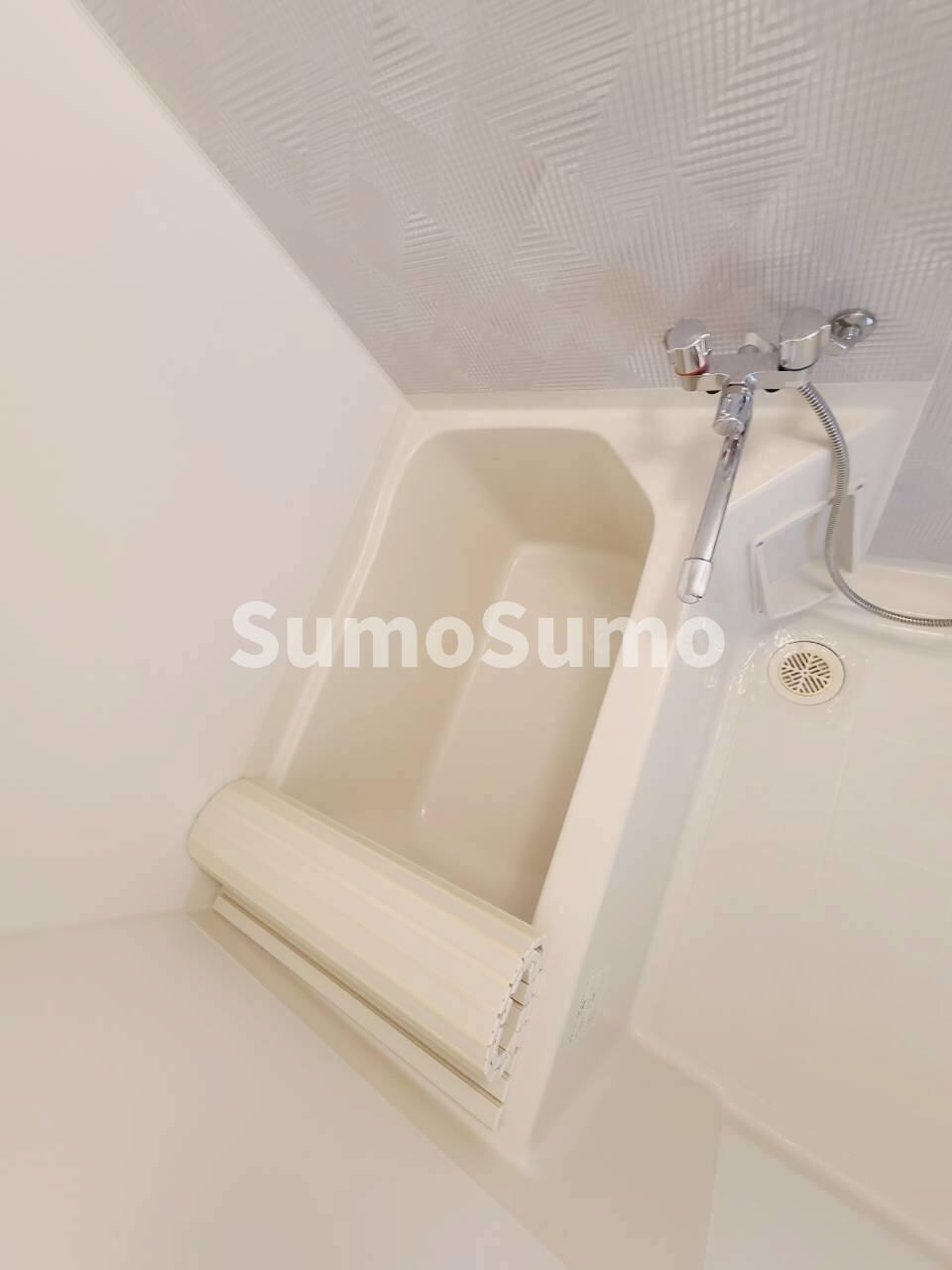 甲子園駅 徒歩5分 4階の物件内観写真