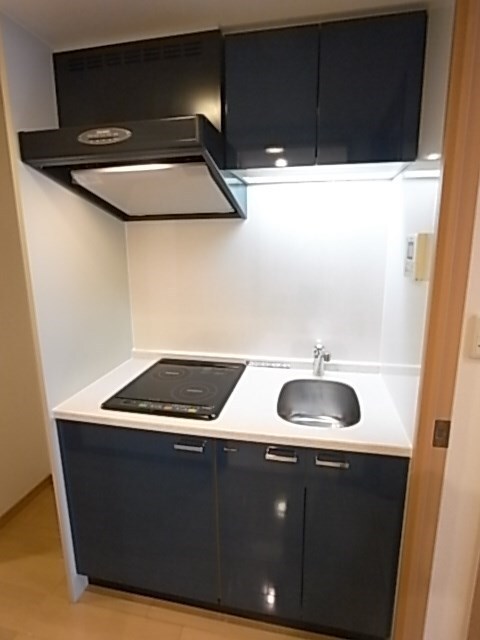 カスタリア三宮の物件内観写真