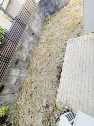 仁川駅 徒歩5分 1階の物件内観写真