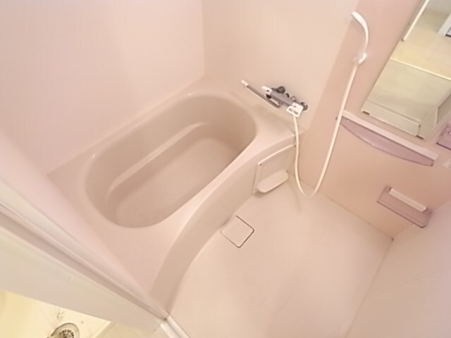 セレニテ神戸元町の物件内観写真