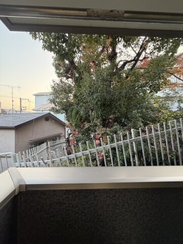 上沢駅 徒歩5分 1階の物件内観写真