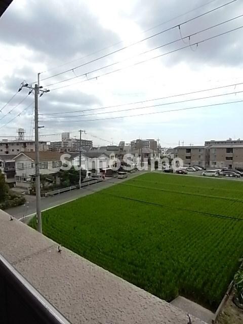 甲東園駅 徒歩15分 2階の物件内観写真