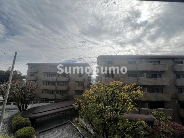 芦屋川駅 徒歩8分 2階の物件内観写真