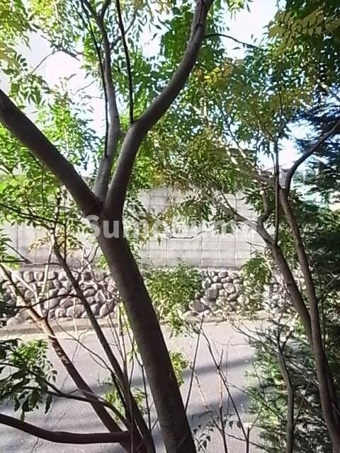 甲陽園駅 徒歩20分 1階の物件内観写真