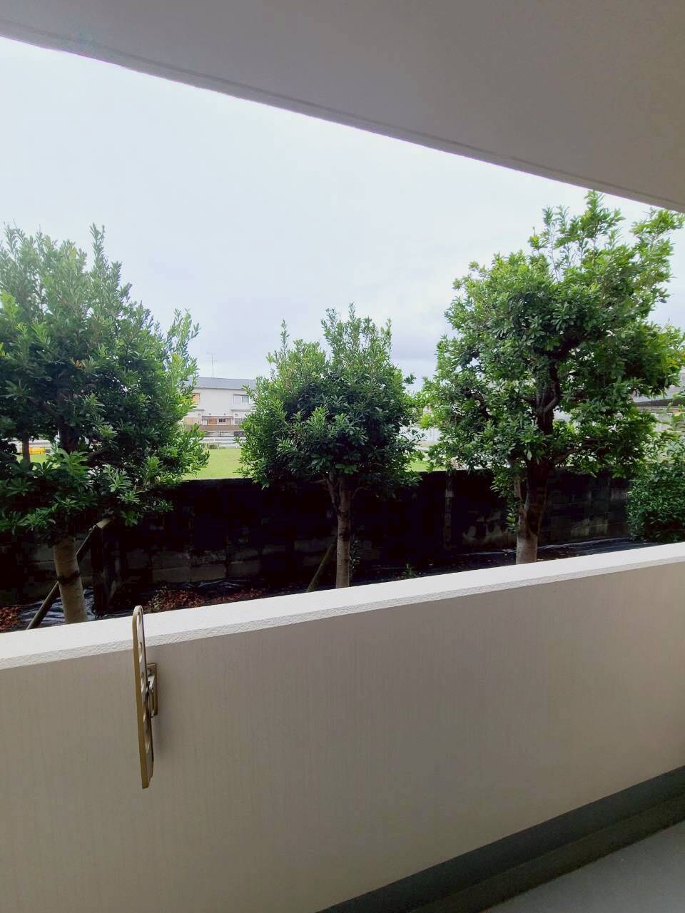 門戸厄神駅 徒歩9分 1階の物件内観写真