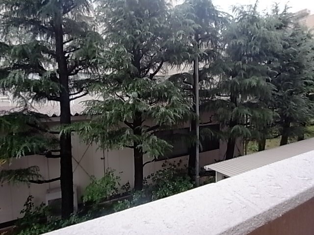 西宮駅 徒歩10分 2階の物件内観写真