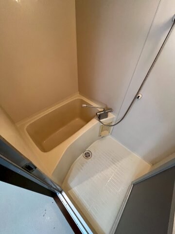 苦楽園口駅 徒歩2分 3階の物件内観写真