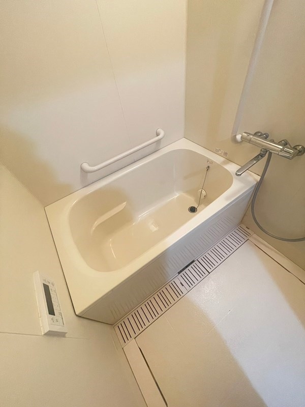 大開駅 徒歩3分 7階の物件内観写真