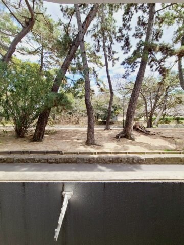 香櫨園駅 徒歩4分 2階の物件内観写真