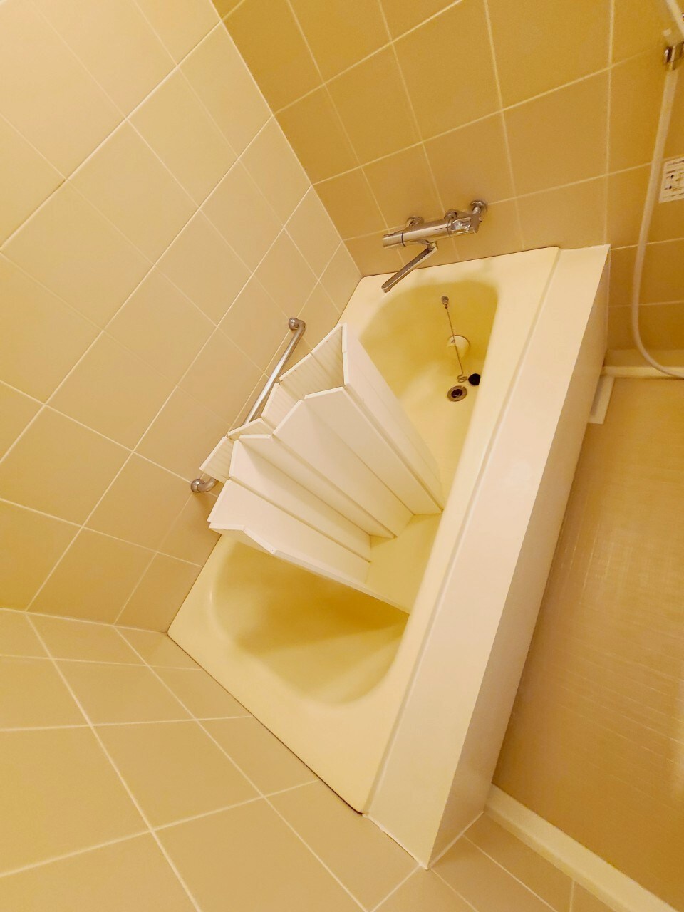 香櫨園駅 徒歩4分 2階の物件内観写真